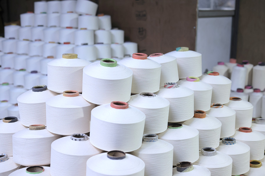 Import & Export Division